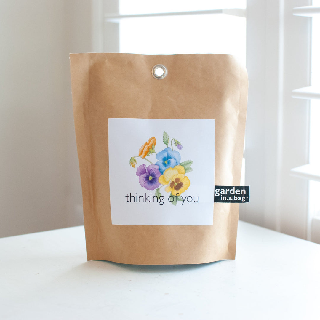 photo of a brown seed packet with a white square label with multi colored flowers with the words "thinking of you" at the bottom of the square