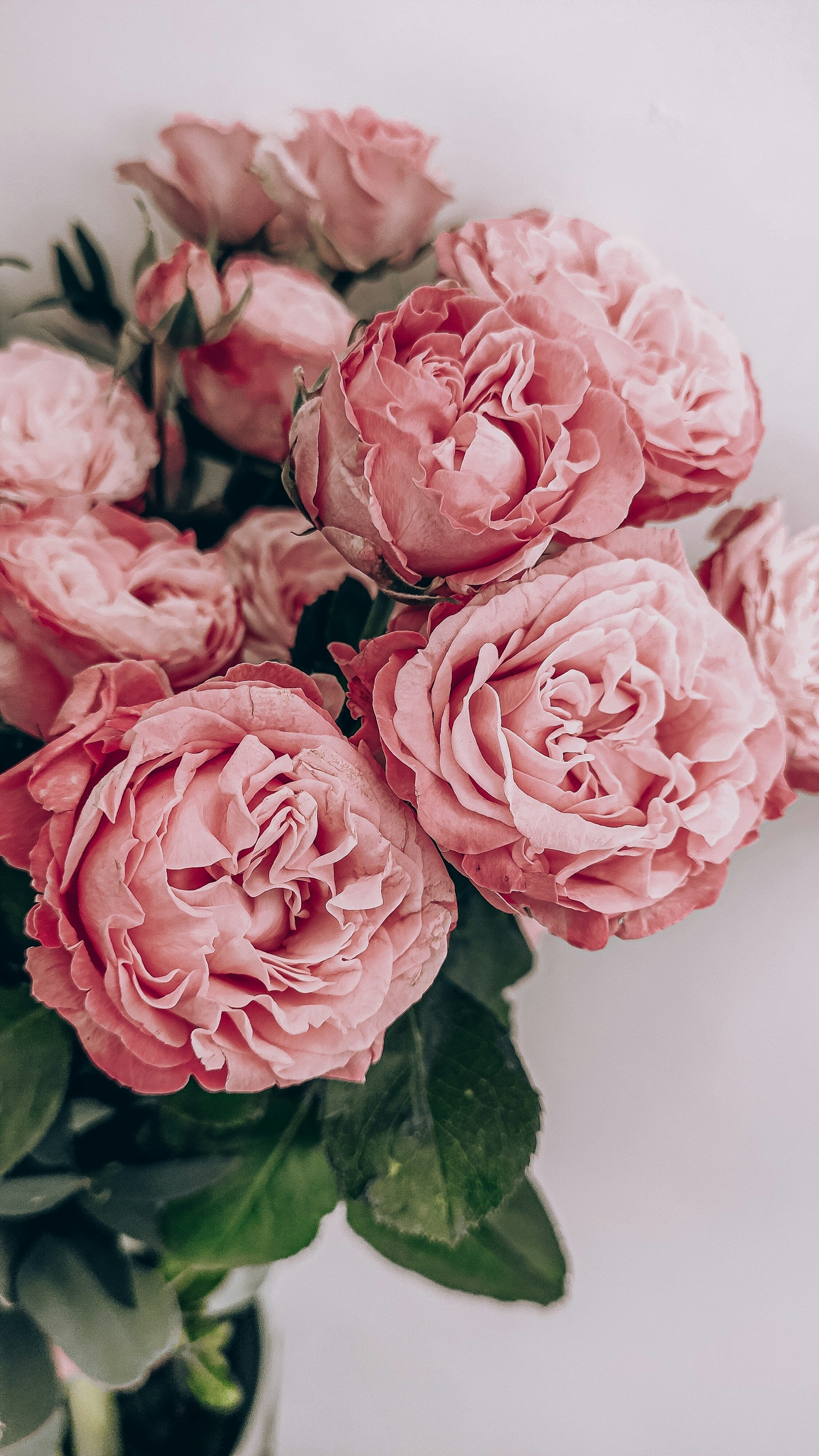 photo of a bouquet of pink flowers with green leaves