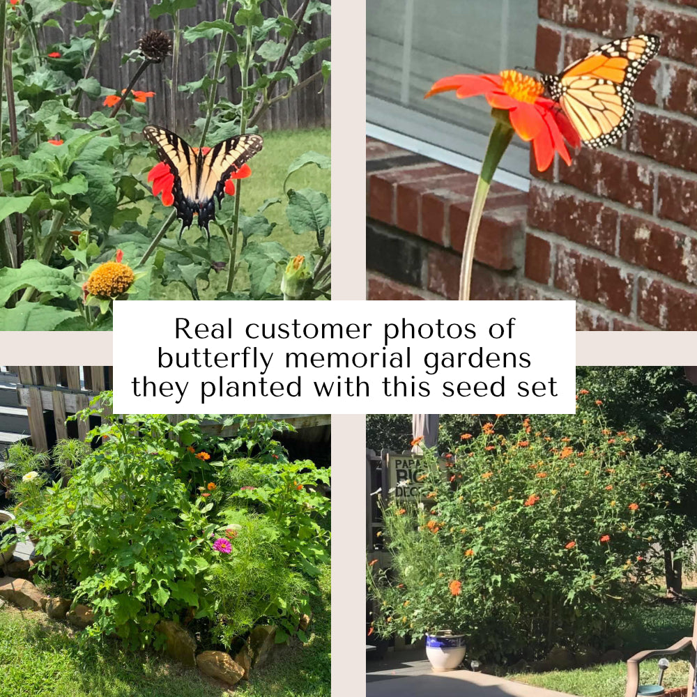 four photos arranged in a grid of various butterflies on orange, pink and green flowers with the words "Real customer photos of butterfly memorial gardens they planted with this seed set" in the center of the four photos