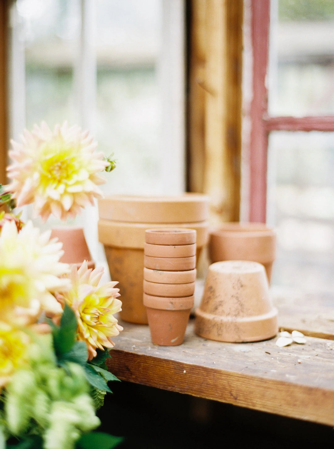 Power of Nature - Sympathy Gifts for Gardeners, stacked terracotta pots of varying sizes with dahlia flowers in foreground.