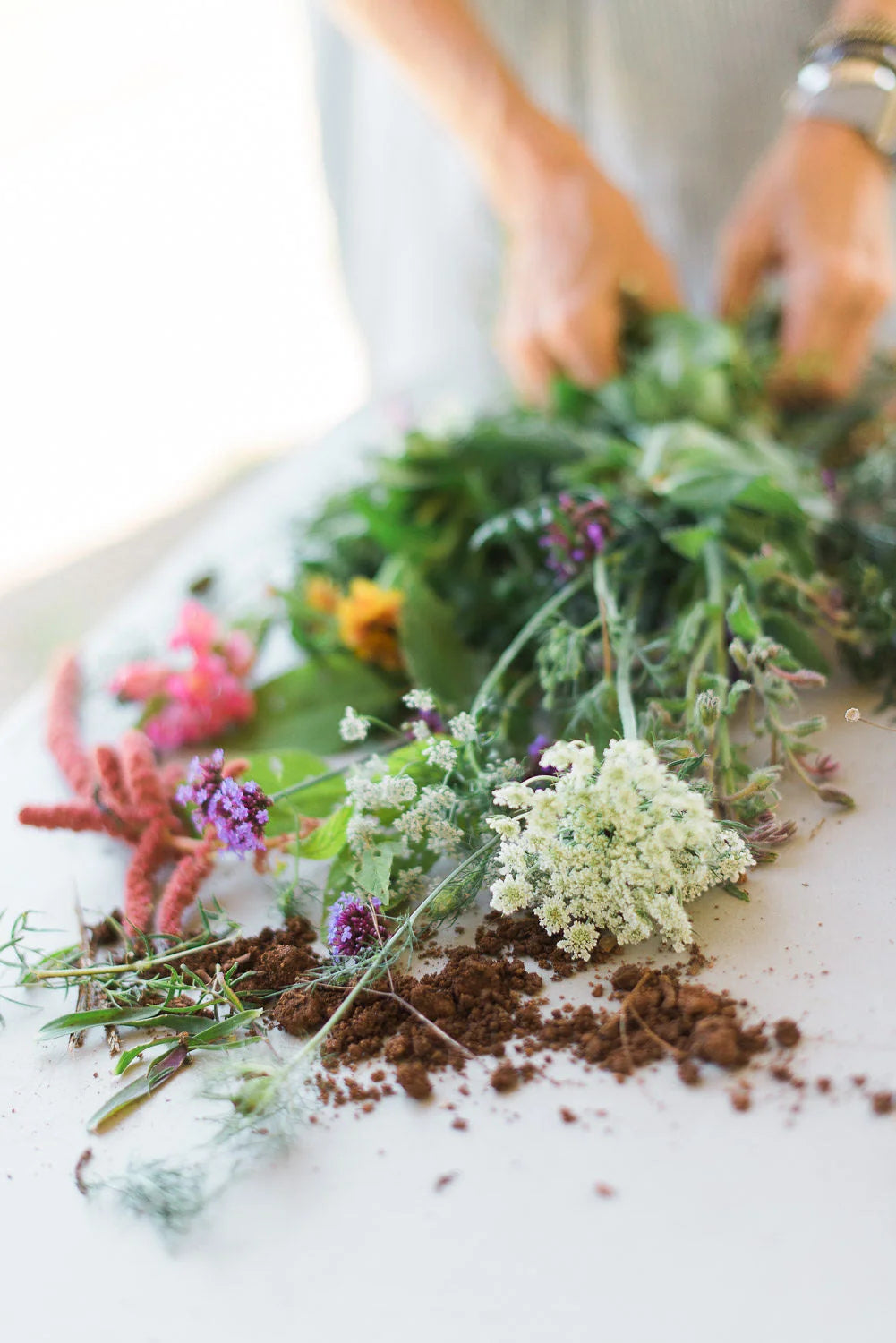 Colorful spring flowers and herbs on a white surface, with loose soil scattered around, for Renewal and Reflection: Spring-Themed Sympathy Gifts for Comfort.