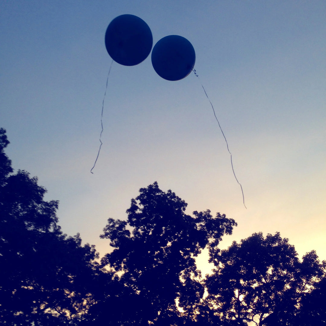 Two round blue balloons with long strings floating in the sky above silhouetted trees at sunset.