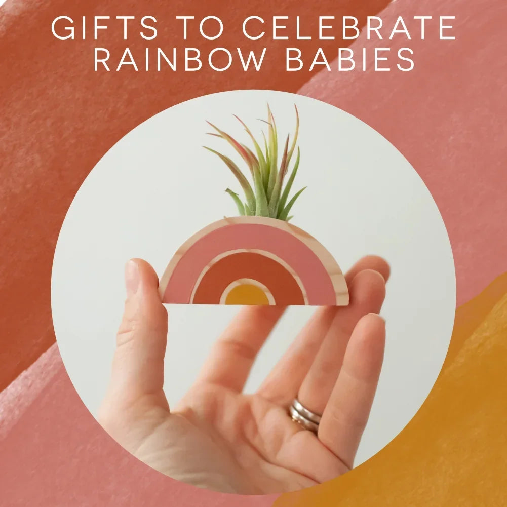 Rainbow-shaped decorative piece made of wood with pink and orange colors, holding a small green plant, symbolizes Honoring Rainbow Babies.