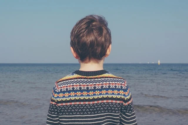 A child wearing a patterned sweater stands by the sea, gazing at the horizon. How Loss, Grief, and Death can Affect Children.