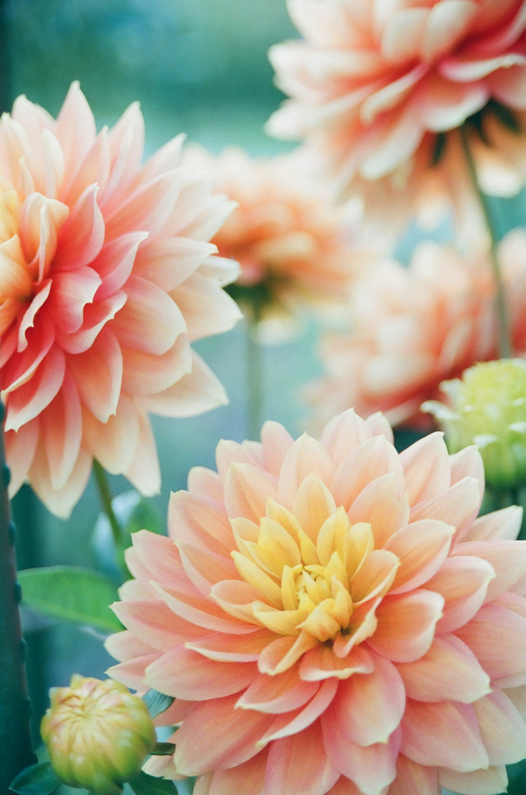Providing Encouragement & Support Through Infertility: What To Say & What Not To Say