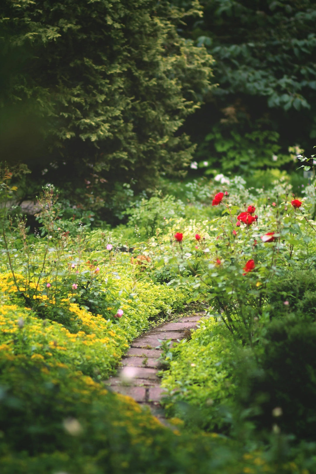 Memorial Garden Gifts 2026: Starter Kits, Seed Paper, Stones with a winding stone path surrounded by vibrant flowers.
