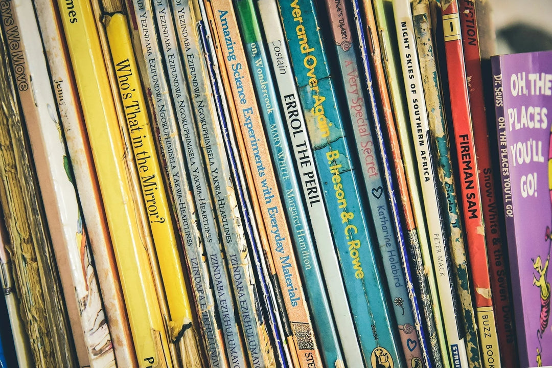 Books To Help Children Understand The Loss of a Sibling; colorful book spines arranged on a shelf with various titles visible.