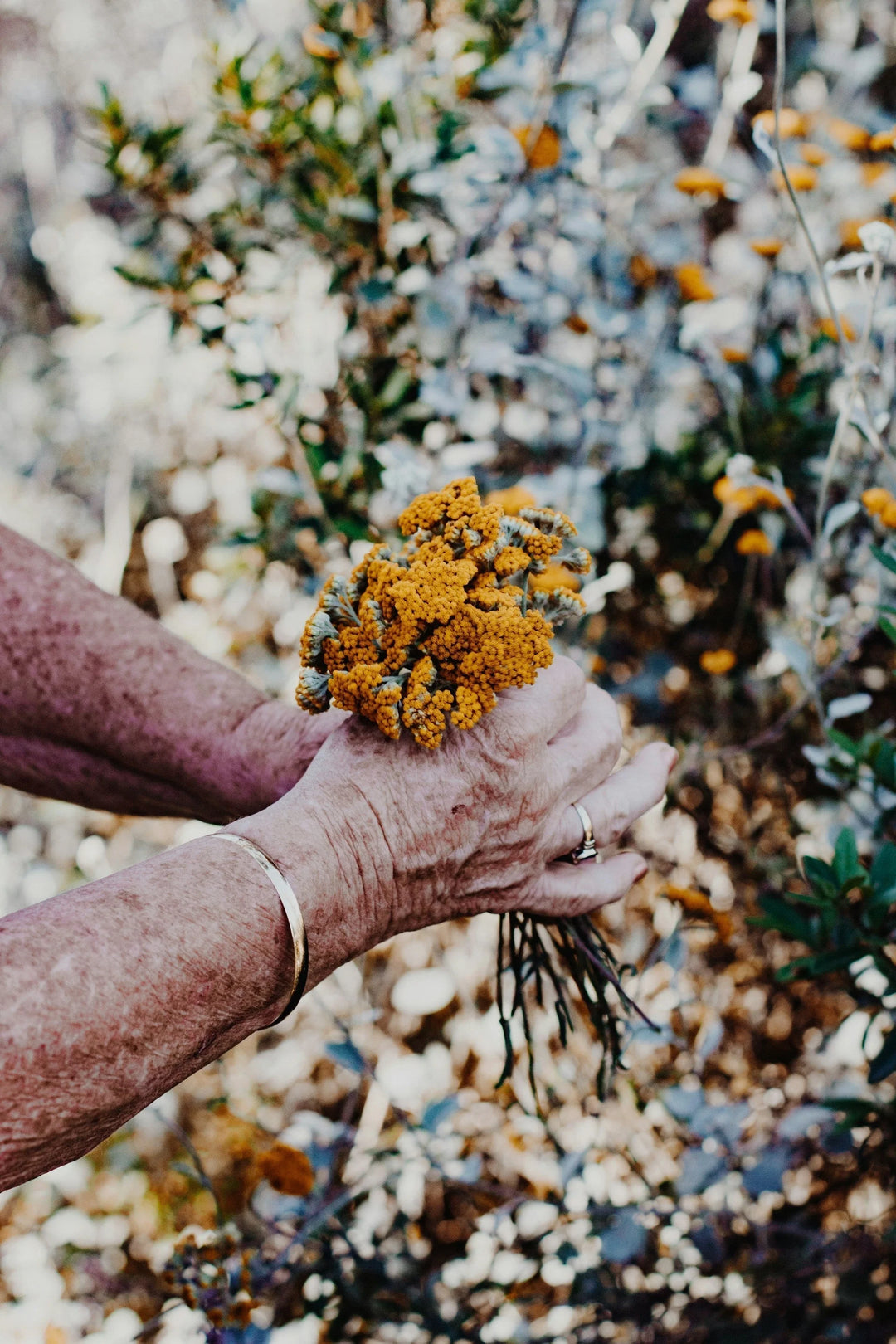 Best Sympathy Gifts for the Loss of a Mother (+ 50 Messages of Support). Yellow flowers held in hands with a bracelet.