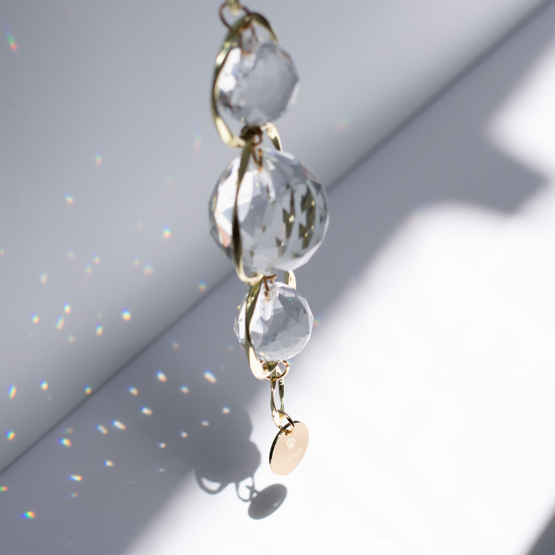 Pet Memorial Sun Catcher and Rainbow Maker