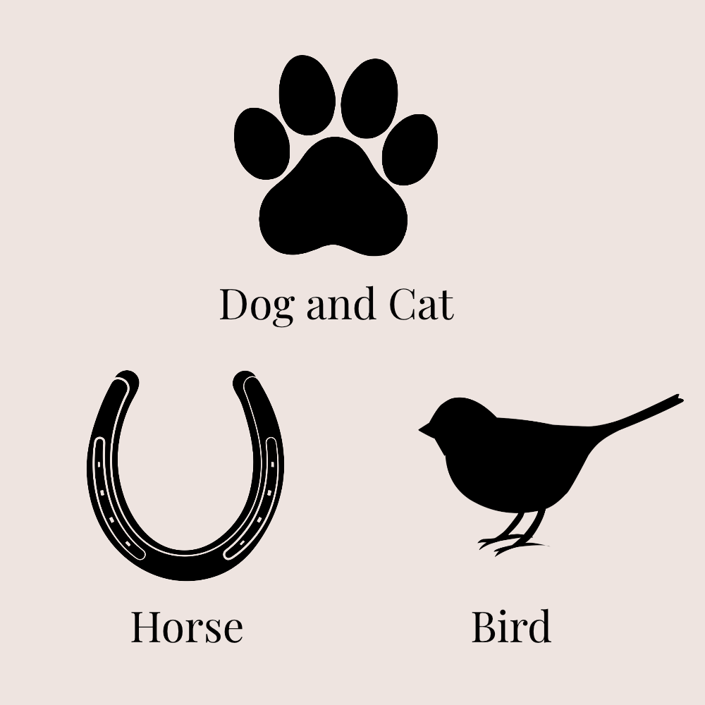 A beige square graphic with black silhouette icons and labels: a dog and cat paw print at the top, a horseshoe labeled Horse at lower left, and a bird labeled Bird at lower right.