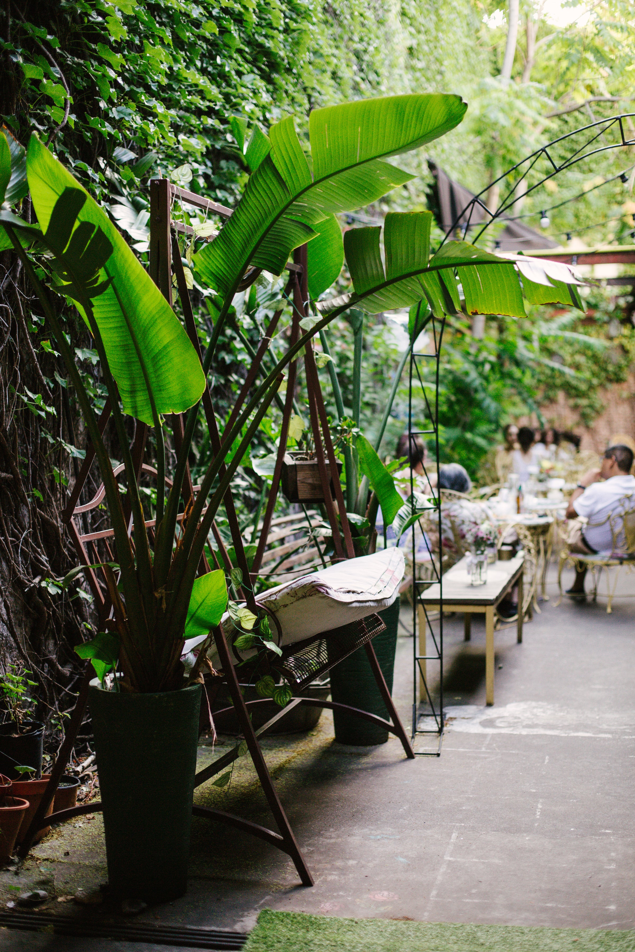photo of an outdoor space with people sitting in chairs with various greenery around