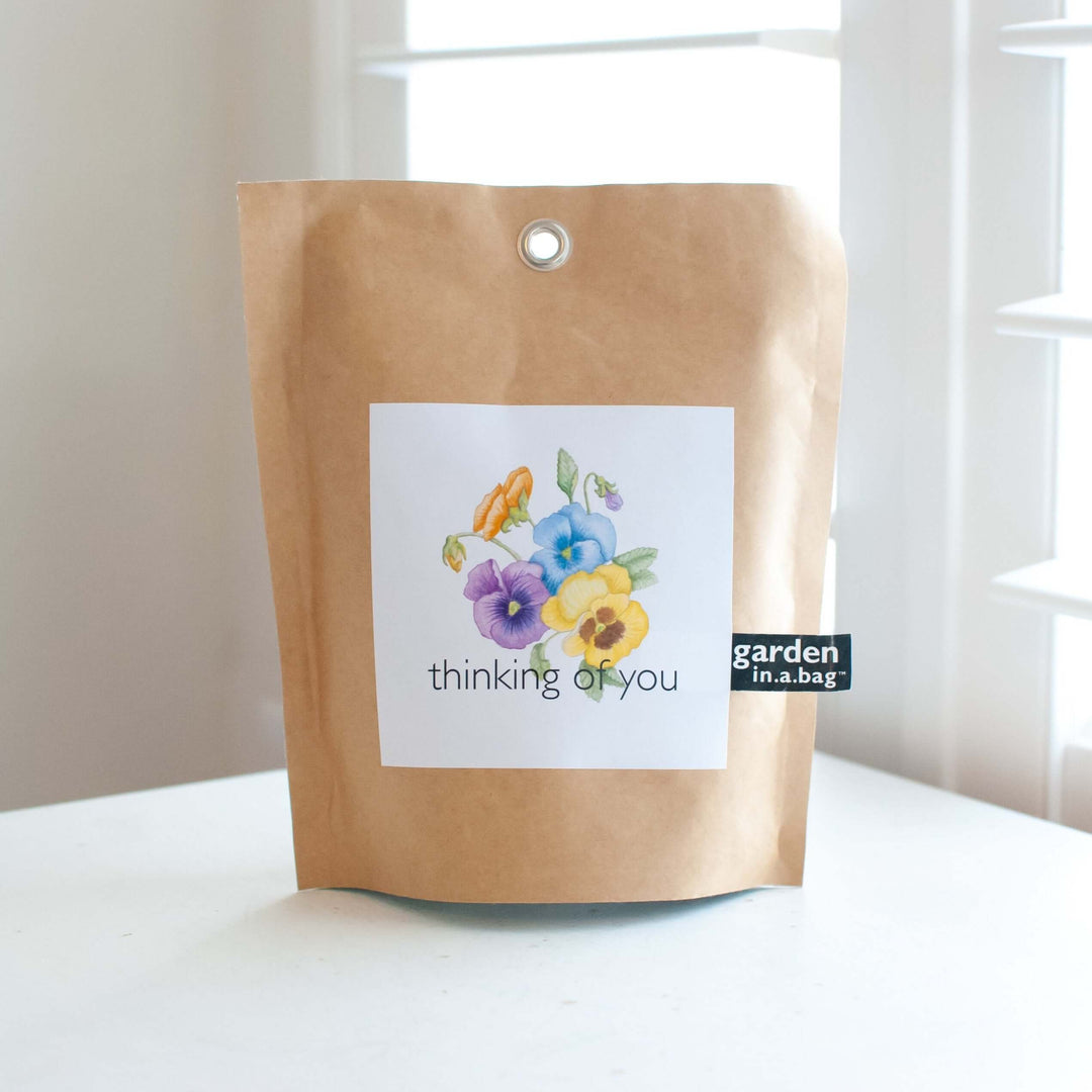 Thinking of You Garden Set in a kraft paper bag with a colorful pansy design and the text 'thinking of you'.