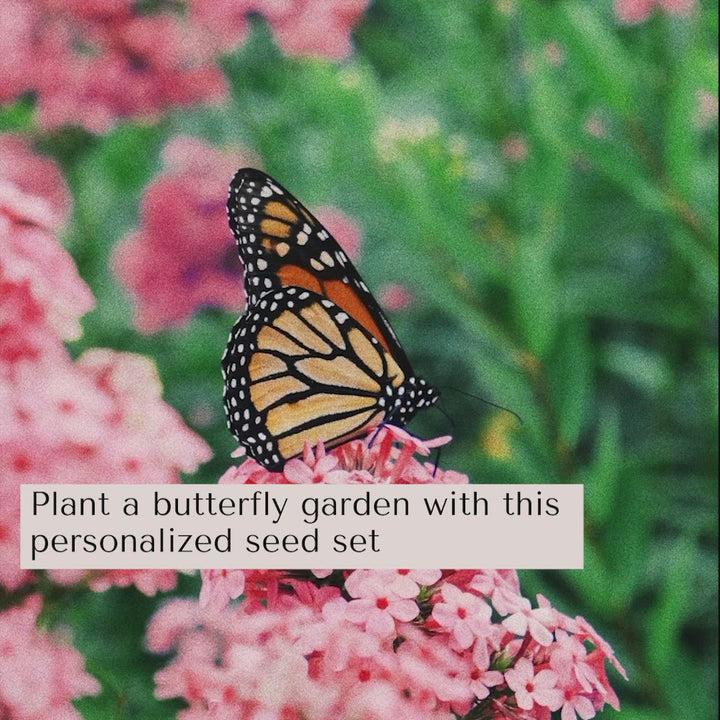 Custom Butterfly Garden Seed Set