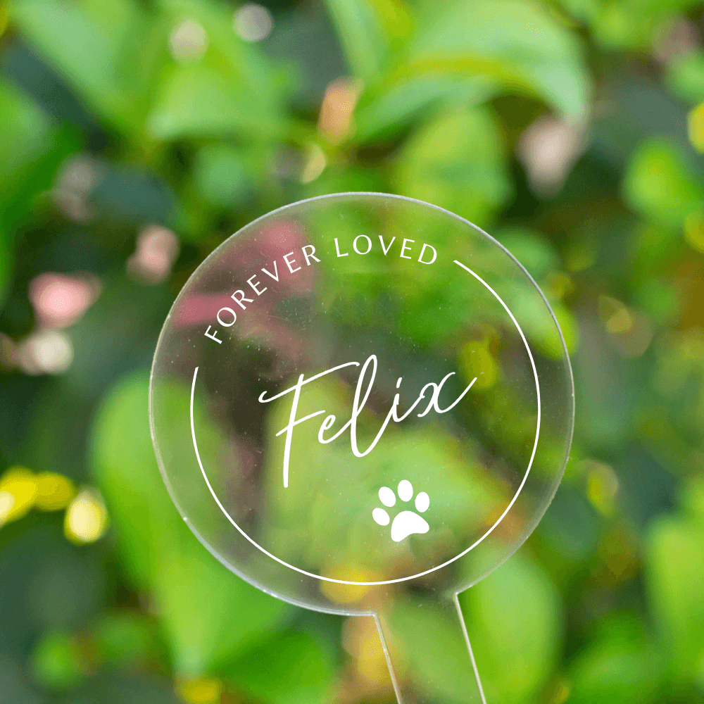 Clear acrylic memorial marker with text 'Forever Loved Felix' and a paw print, set against green foliage.
