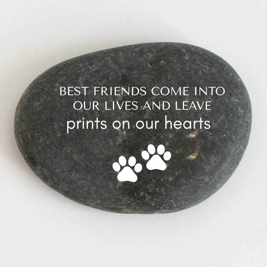Pet Memorial Garden Stone, dark river stone, engraved text "Best Friends Come Into Our Lives" with paw prints.