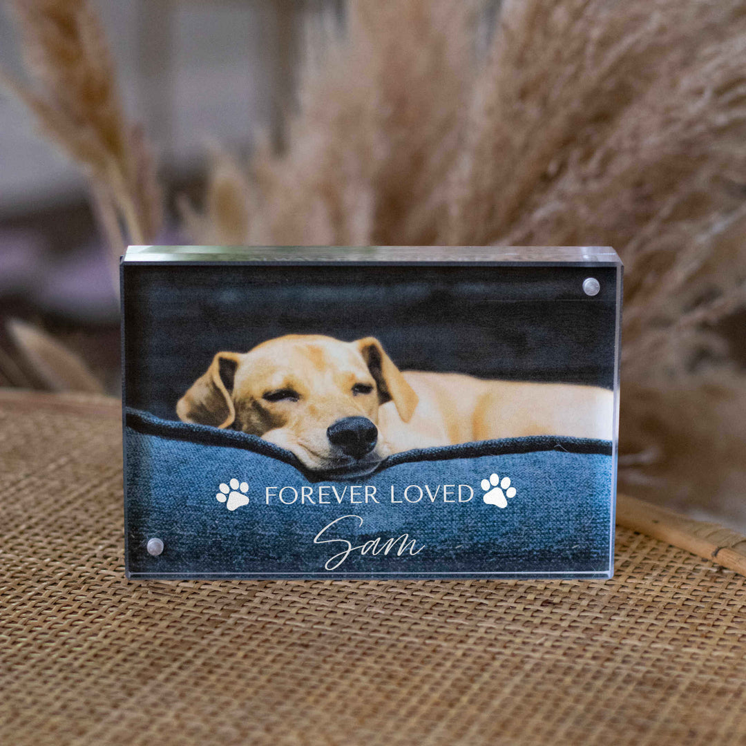 Pet Memorial Custom Photo Frame featuring a sleeping dog image, engraved text "FOREVER LOVED Sam" on clear acrylic.